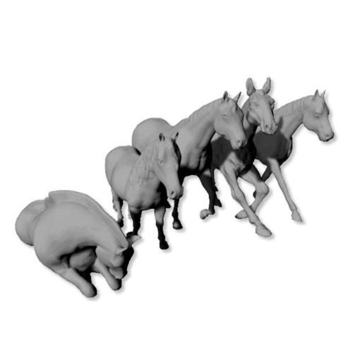 Assorted horses