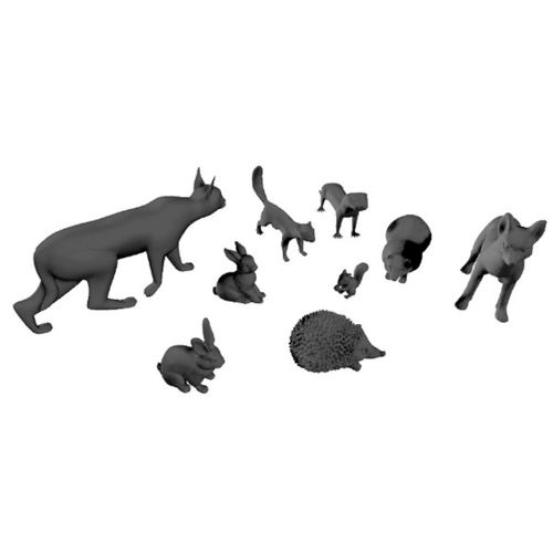Small-sized forest mammals