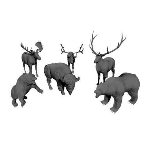 Large-sized forest mammals